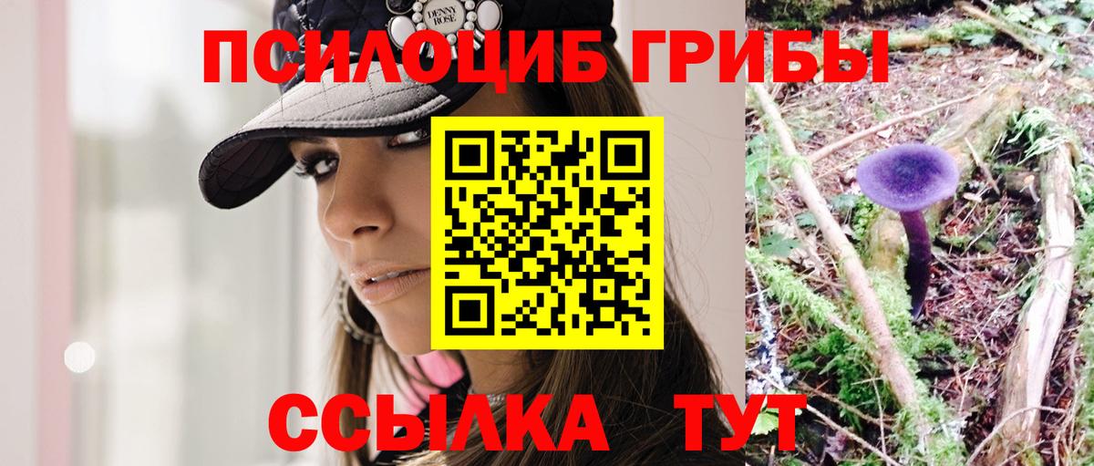 Псилоцибиновые грибы Cubensis  Галлюциногенные грибы Cubensis  Аргун  Вход с VPN 